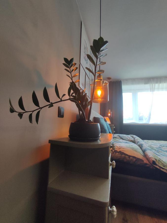 Dian Feelhome Banska Bela Zewnętrze zdjęcie