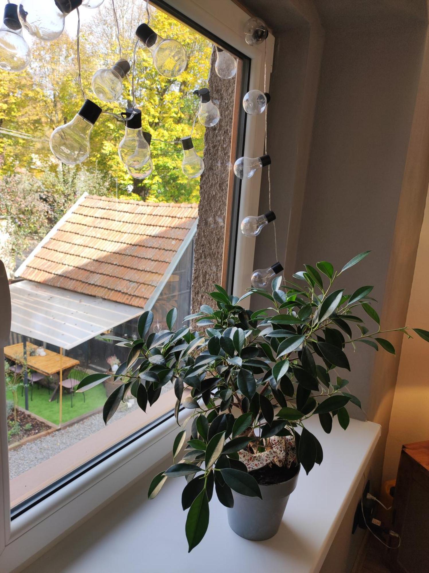 Dian Feelhome Banska Bela Zewnętrze zdjęcie
